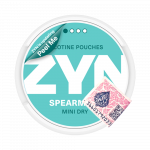 ZYN - Spearmint Mini Dry (1•)